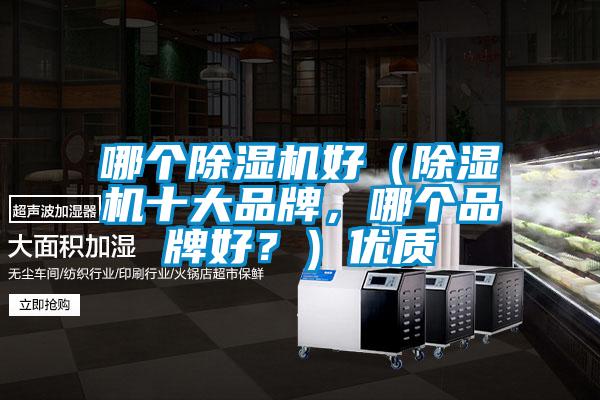 哪個除濕機好（除濕機十大品牌，哪個品牌好？）優質