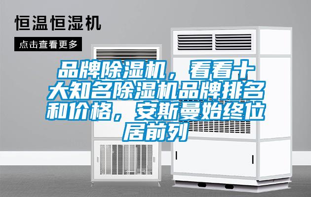 品牌除濕機，看看十大知名除濕機品牌排名和價格，安斯曼始終位居前列