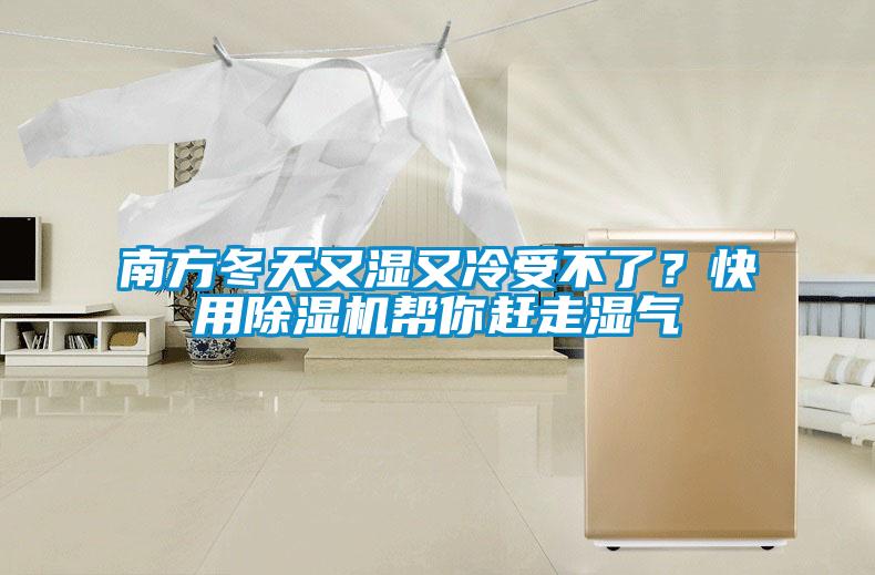 南方冬天又濕又冷受不了？快用除濕機幫你趕走濕氣