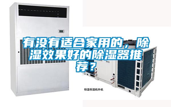 有沒有適合家用的，除濕效果好的除濕器推薦？
