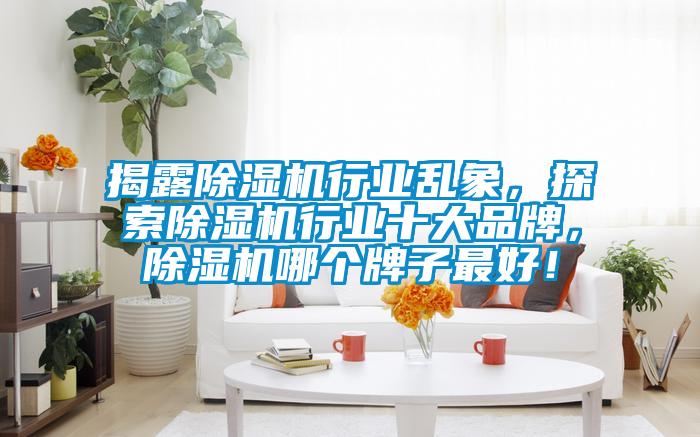 揭露除濕機行業亂象，探索除濕機行業十大品牌，除濕機哪個牌子最好！