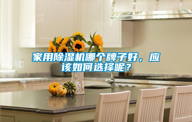 家用除濕機哪個牌子好，應該如何選擇呢？