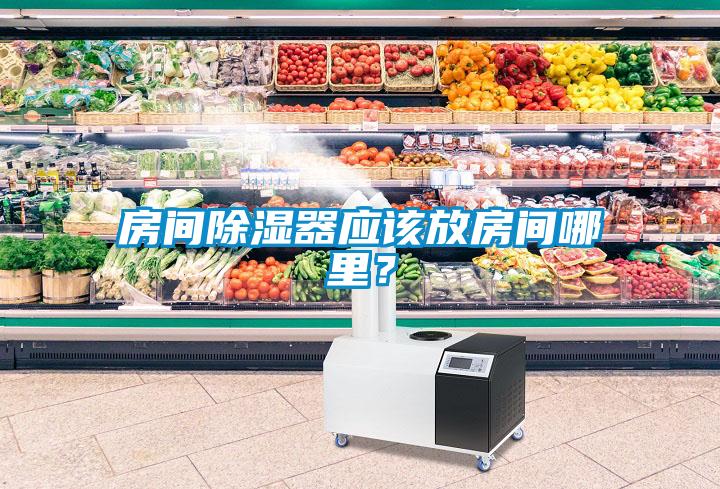 房間除濕器應該放房間哪里？