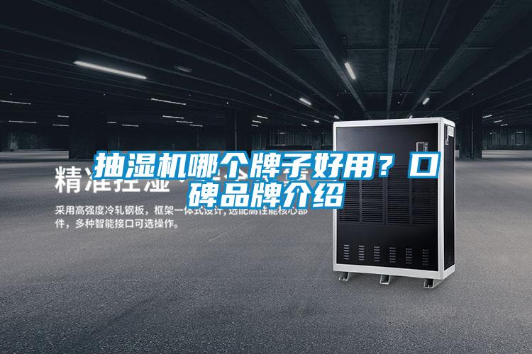 抽濕機哪個牌子好用？口碑品牌介紹
