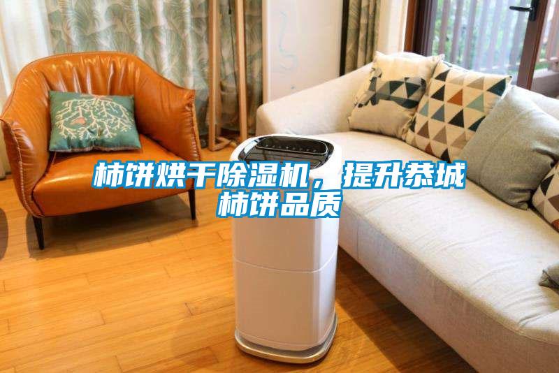 柿餅烘干除濕機，提升恭城柿餅品質