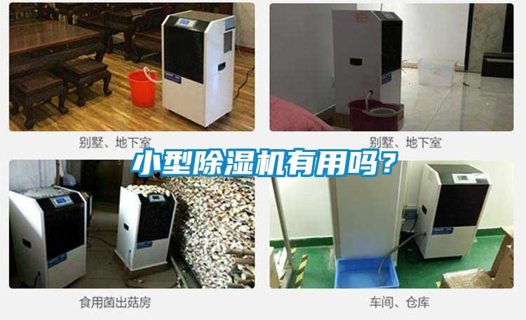 小型除濕機有用嗎？
