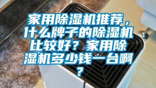 家用除濕機推薦，什么牌子的除濕機比較好？家用除濕機多少錢一臺??？