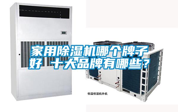 家用除濕機哪個牌子好 十大品牌有哪些？