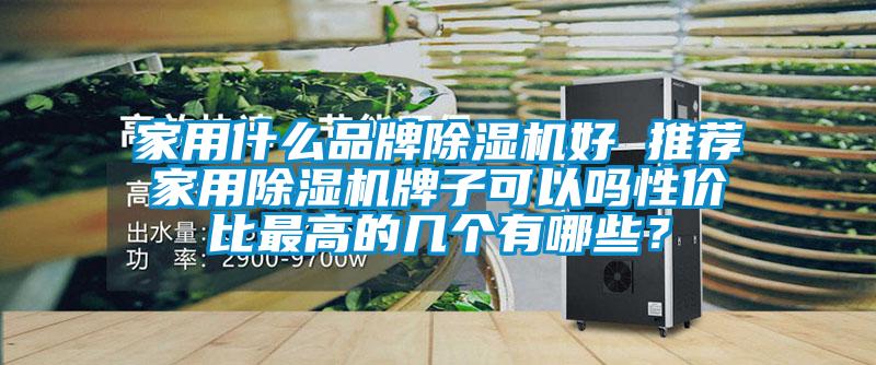 家用什么品牌除濕機好 推薦家用除濕機牌子可以嗎性價比最高的幾個有哪些？