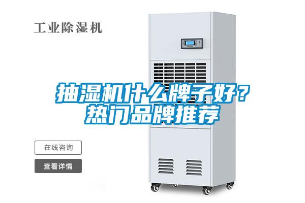 抽濕機什么牌子好？熱門品牌推薦