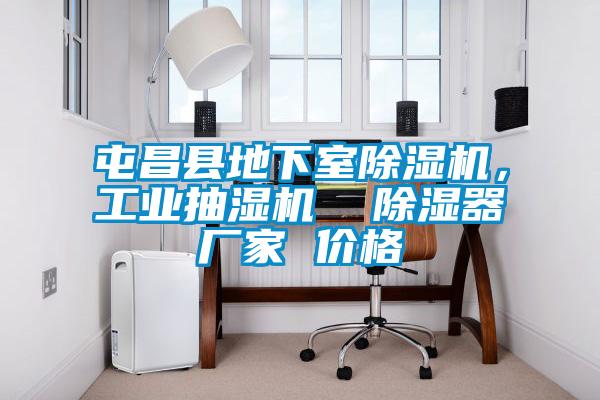屯昌縣地下室除濕機，工業抽濕機  除濕器廠家 價格