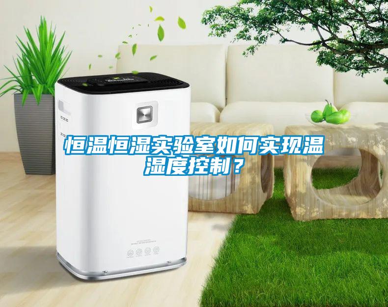 恒溫恒濕實驗室如何實現溫濕度控制？