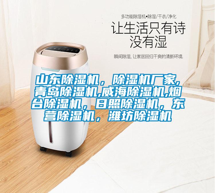 山東除濕機，除濕機廠家,青島除濕機,威海除濕機,煙臺除濕機，日照除濕機，東營除濕機，濰坊除濕機
