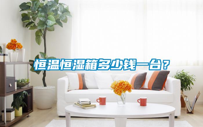 恒溫恒濕箱多少錢一臺？