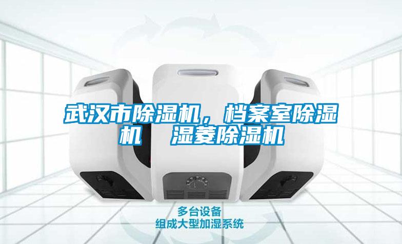 武漢市除濕機，檔案室除濕機  濕菱除濕機