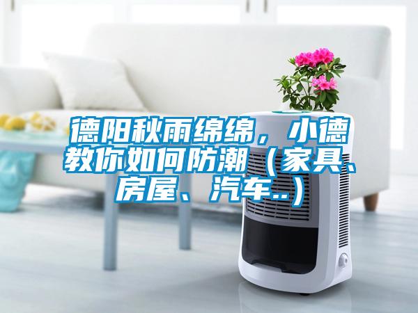 德陽秋雨綿綿，小德教你如何防潮（家具、房屋、汽車..）