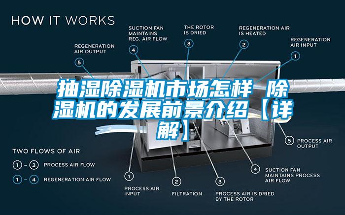 抽濕除濕機市場怎樣 除濕機的發展前景介紹【詳解】