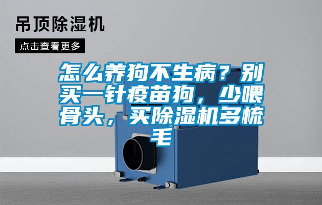 怎么養狗不生??？別買一針疫苗狗，少喂骨頭，買除濕機多梳毛