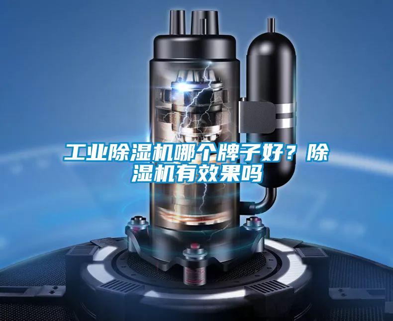 工業除濕機哪個牌子好？除濕機有效果嗎