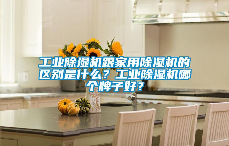 工業除濕機跟家用除濕機的區別是什么？工業除濕機哪個牌子好？