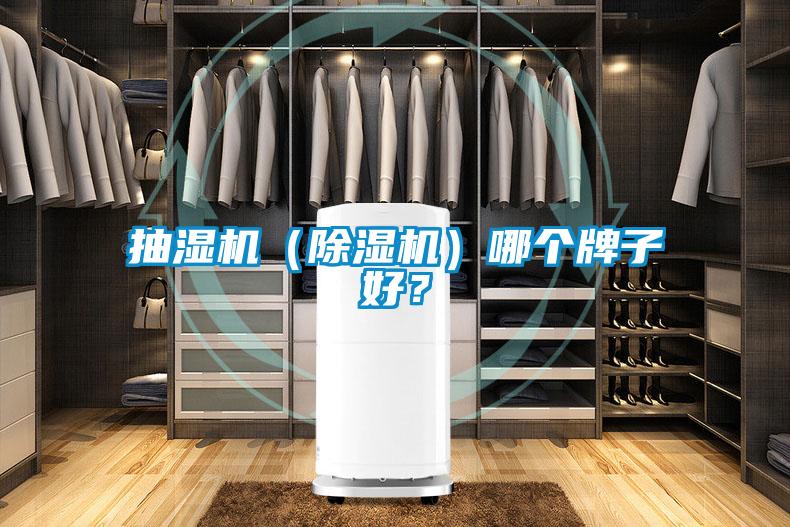 抽濕機（除濕機）哪個牌子好？