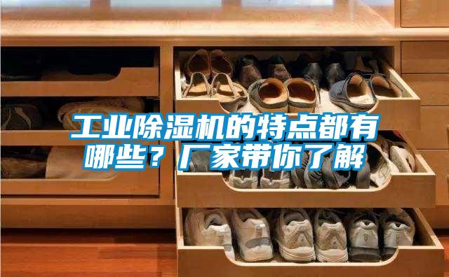 工業除濕機的特點都有哪些？廠家帶你了解
