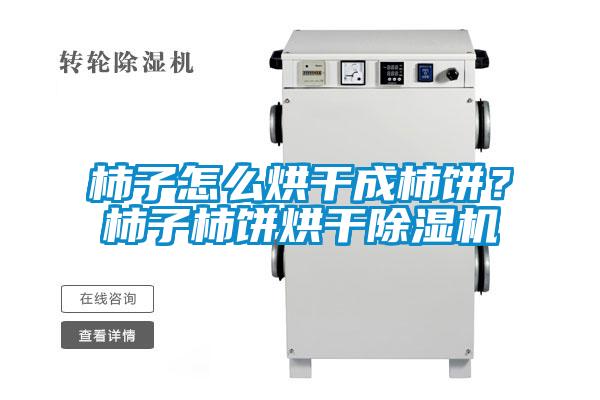 柿子怎么烘干成柿餅？柿子柿餅烘干除濕機