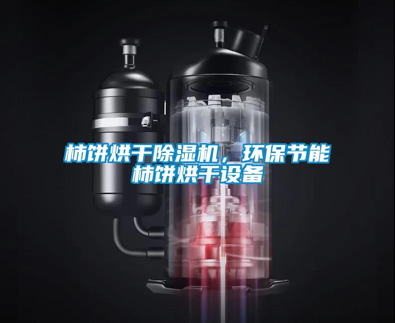 柿餅烘干除濕機，環保節能柿餅烘干設備