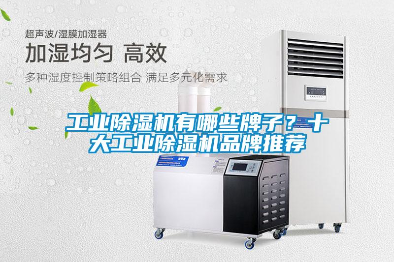 工業除濕機有哪些牌子？十大工業除濕機品牌推薦