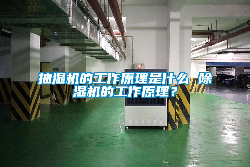 抽濕機的工作原理是什么 除濕機的工作原理？