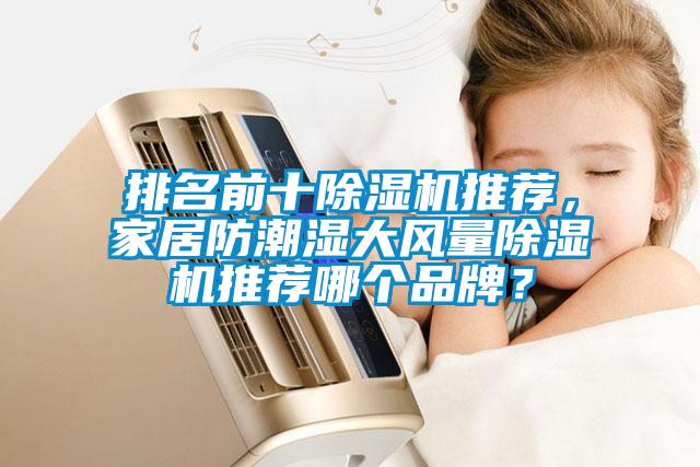 排名前十除濕機推薦，家居防潮濕大風量除濕機推薦哪個品牌？