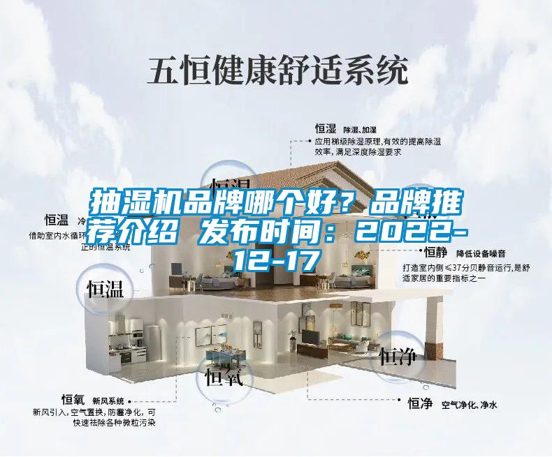抽濕機品牌哪個好？品牌推薦介紹 發布時間：2022-12-17