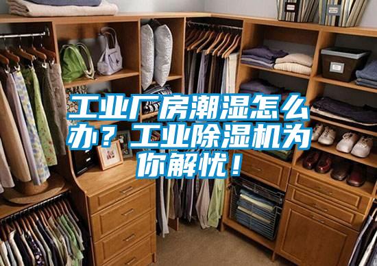 工業廠房潮濕怎么辦？工業除濕機為你解憂！