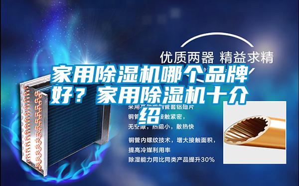 家用除濕機哪個品牌好？家用除濕機十介紹