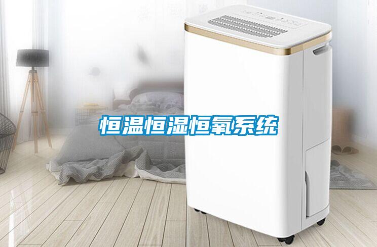 恒溫恒濕恒氧系統