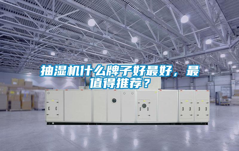 抽濕機什么牌子好最好，最值得推薦？