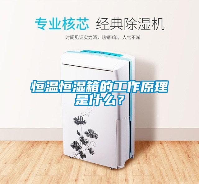 恒溫恒濕箱的工作原理是什么？
