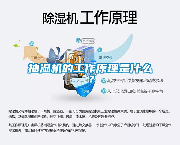 抽濕機的工作原理是什么？