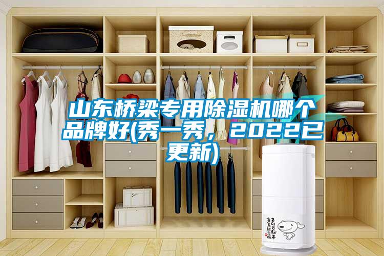 山東橋梁專用除濕機哪個品牌好(秀一秀，2022已更新)