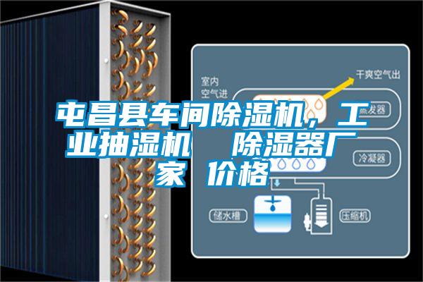 屯昌縣車間除濕機，工業抽濕機  除濕器廠家 價格