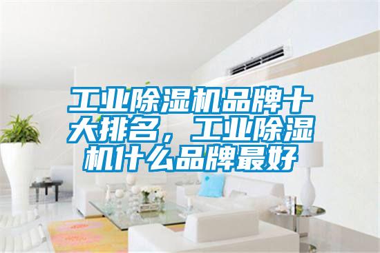 工業除濕機品牌十大排名，工業除濕機什么品牌最好