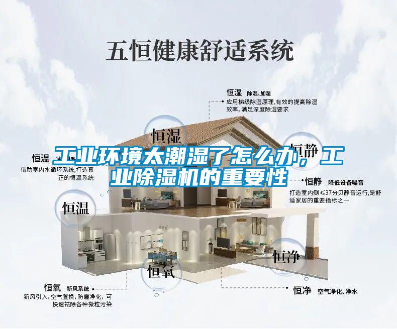 工業環境太潮濕了怎么辦，工業除濕機的重要性