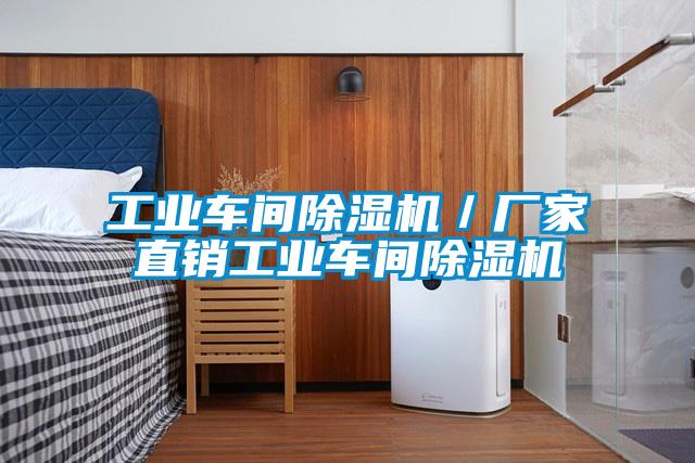 工業車間除濕機/廠家直銷工業車間除濕機