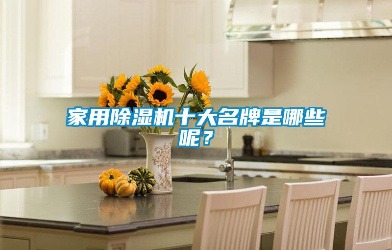 家用除濕機十大名牌是哪些呢？
