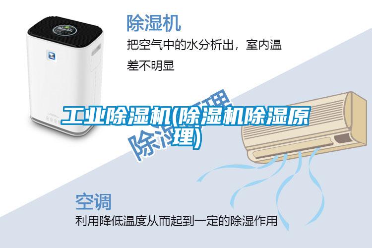 工業除濕機(除濕機除濕原理)