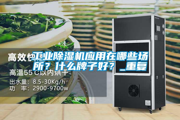 工業除濕機應用在哪些場所？什么牌子好？_重復