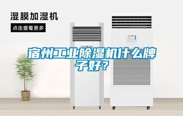 宿州工業除濕機什么牌子好？