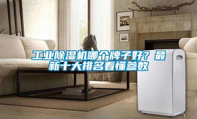 工業除濕機哪個牌子好？最新十大排名看懂參數