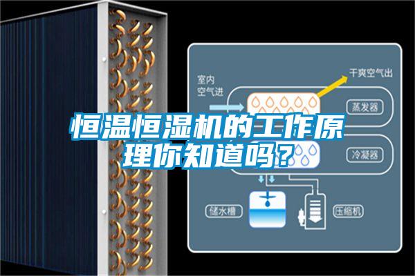恒溫恒濕機的工作原理你知道嗎？