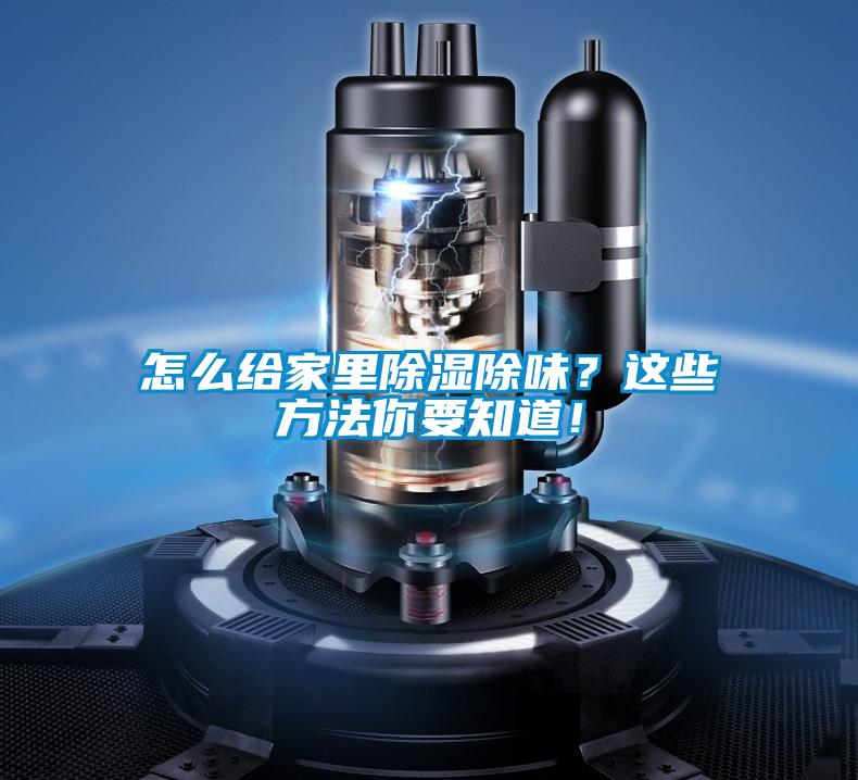 怎么給家里除濕除味？這些方法你要知道！